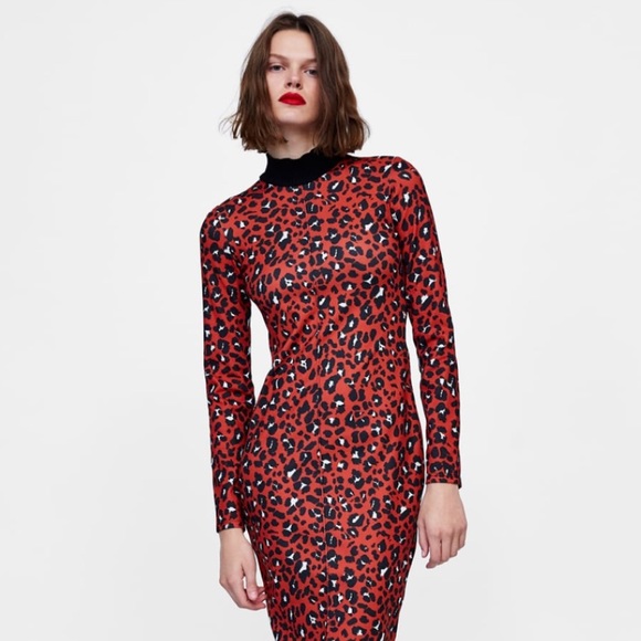 Zara Dresses Sheath Dress Leopard Print Poshmark